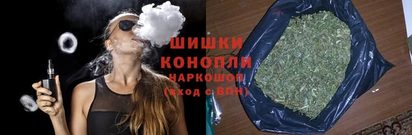 гашик Белокуриха