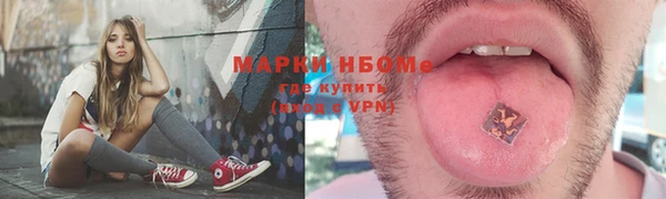 гашик Белокуриха