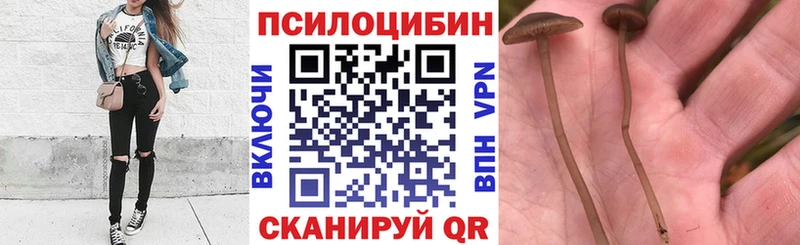 наркошоп Мончегорск Псилоцибиновые грибы прущие грибы